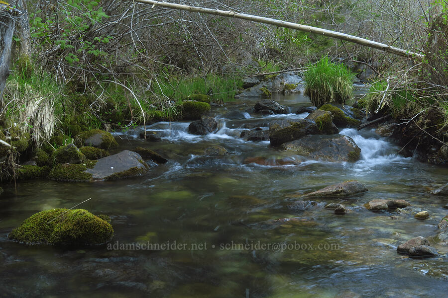 Takelma Creek [Siskiyou Field Institute, Josephine County, Oregon]