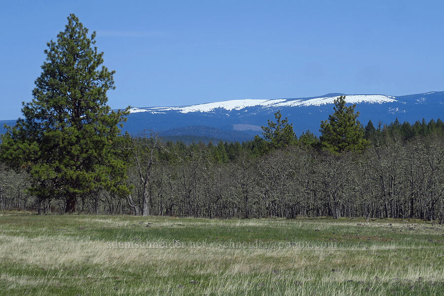 Simcoe Mountains [South Breaks Road, Soda Springs Wildlife Area, Klickitat County, Washington]