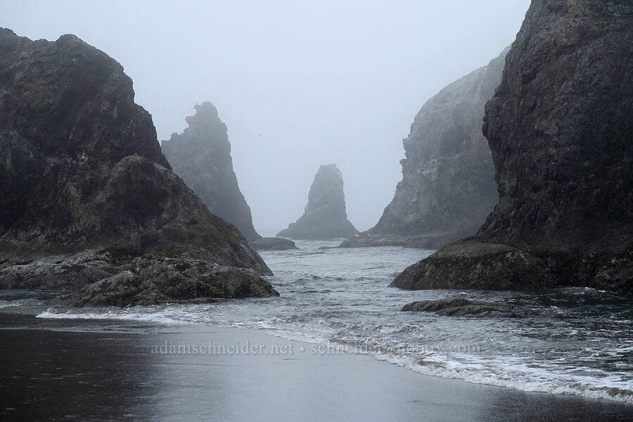 sea stacks [Coquille Point, Coos County, Oregon]