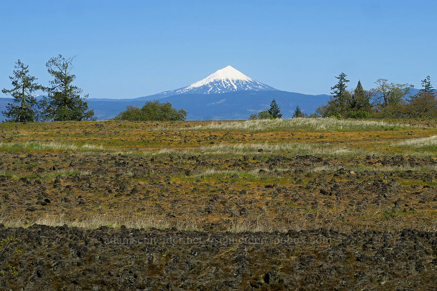Mount McLoughlin & wildflowers [Upper Table Rock, Jackson County, Oregon]