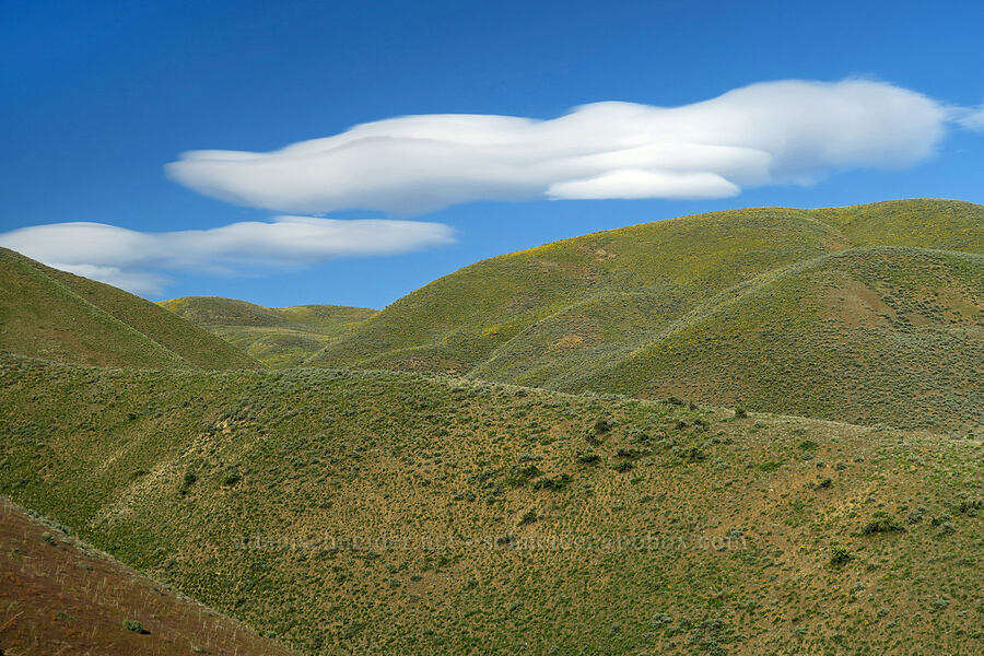 lenticular clouds over sagebrush hills [polarized] [Lookout Mountain Road, Baker County, Oregon]