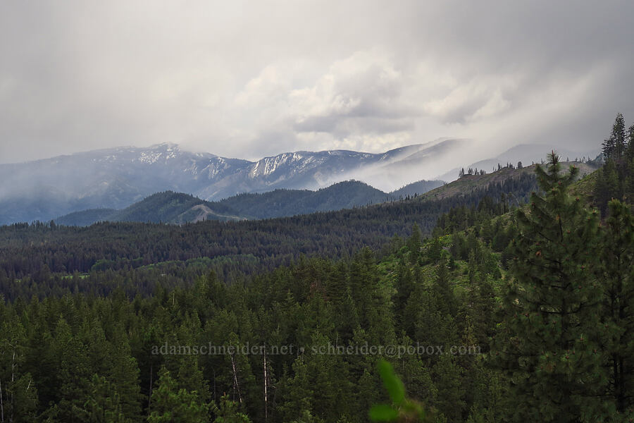 rain & snow to the south [Camas Meadows Natural Area Preserve, Chelan County, Washington]