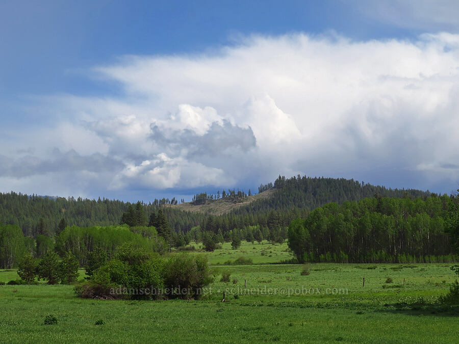 camas meadows & storm clouds [Camas Creek Road, Chelan County, Washington]