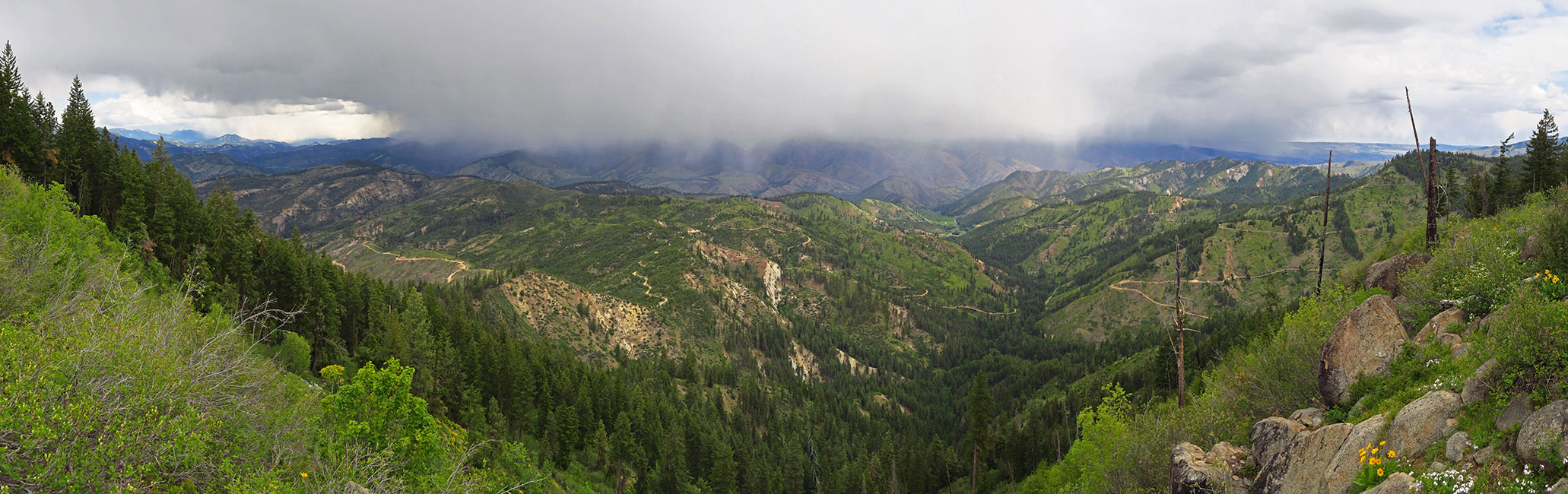 stormy Wenatchee Mountains panorama [Camas Meadows Natural Area Preserve, Chelan County, Washington]
