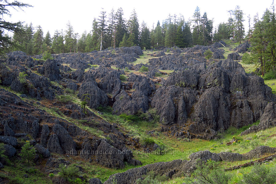 eroded volcanic rock [Lost Creek Trail, Okanogan-Wenatchee National Forest, Yakima County, Washington]