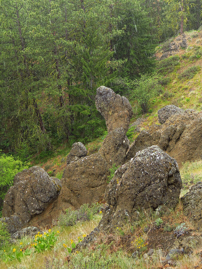 rain, graupel, & weird rocks [Lost Creek Trail, Okanogan-Wenatchee National Forest, Yakima County, Washington]