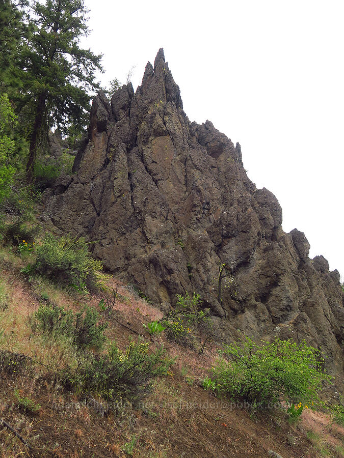 rock pinnacles [Lost Creek Trail, Okanogan-Wenatchee National Forest, Yakima County, Washington]