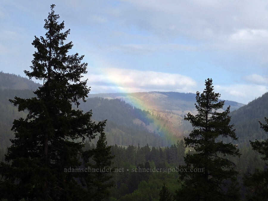 rainbow [Lost Creek Trail, Okanogan-Wenatchee National Forest, Yakima County, Washington]