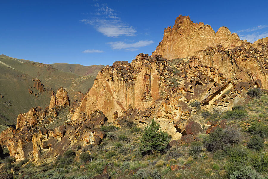 tuff formations [above Timber Gulch, Malheur County, Oregon]