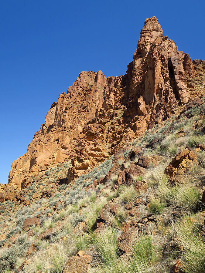 tuff formations [above Timber Gulch, Malheur County, Oregon]