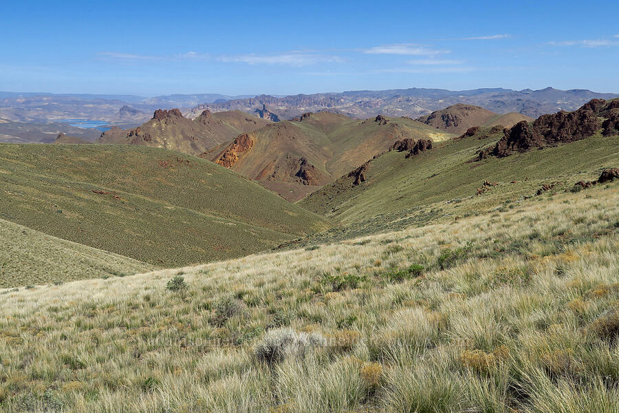 view to the north-northwest [above Timber Gulch, Malheur County, Oregon]