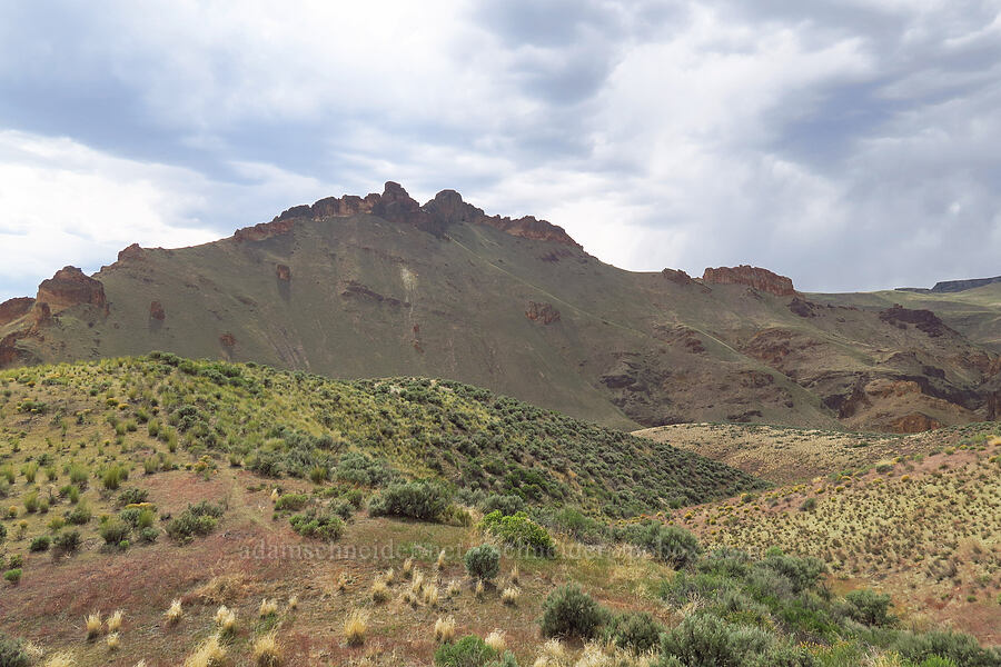 Rooster Comb & rain clouds [Leslie Gulch, Malheur County, Oregon]