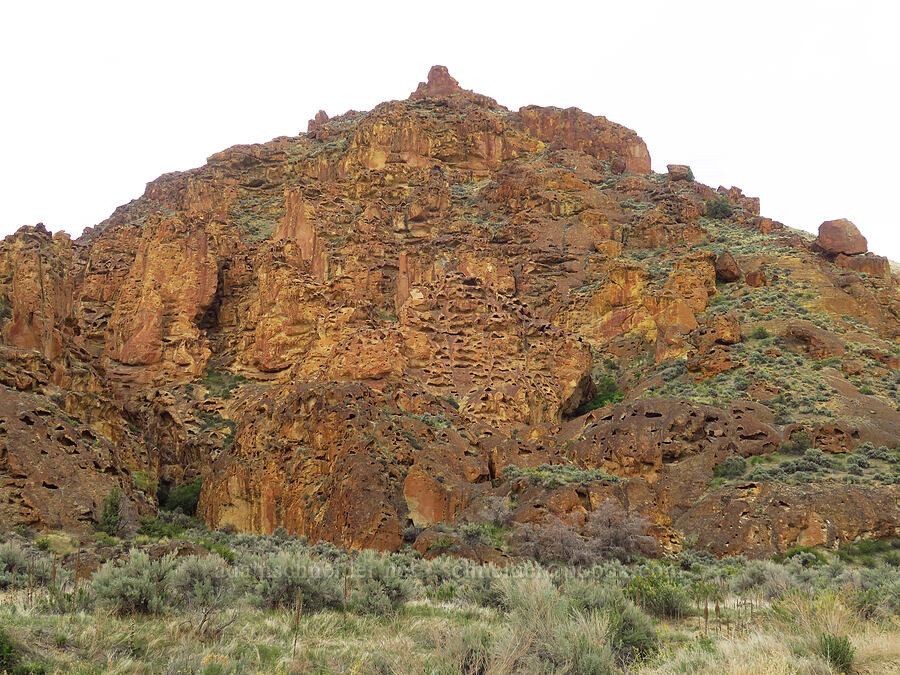 tuff formations & honeycomb erosion [Leslie Gulch, Malheur County, Oregon]