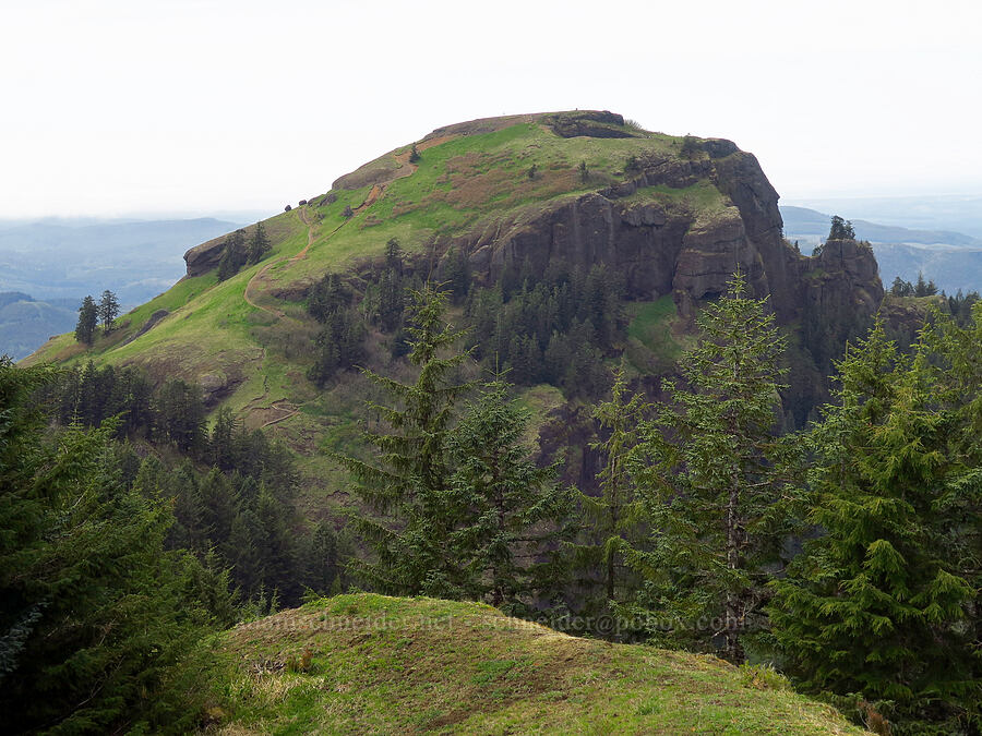 west summit of Saddle Mountain [east side of Saddle Mountain, Clatsop County, Oregon]