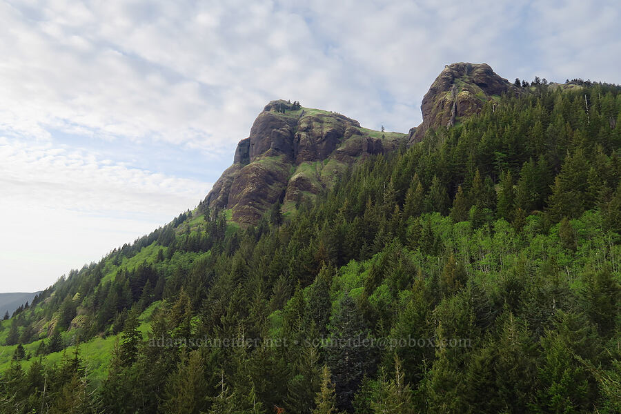 Saddle Mountain [Humbug Mountain Viewpoint, Clatsop County, Oregon]