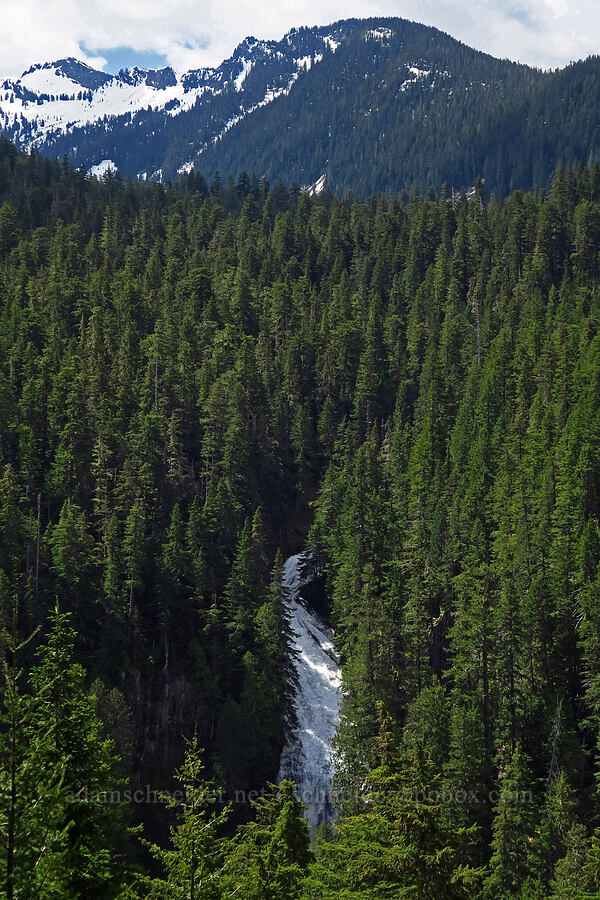 Lava Creek Falls [U.S. Highway 12, Gifford Pinchot National Forest, Lewis County, Washington]