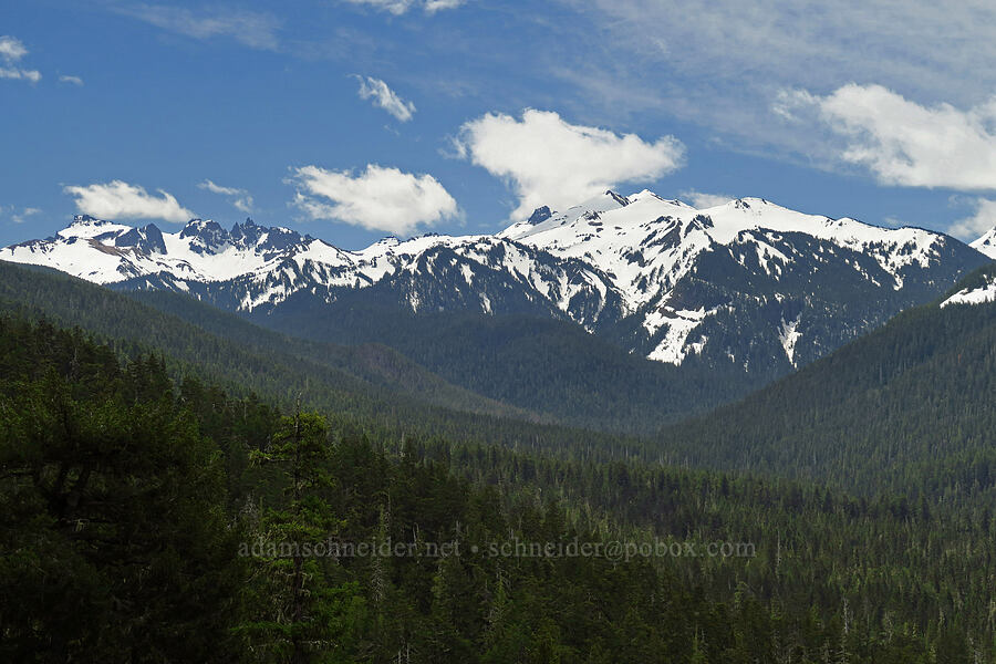 peaks near Packwood Saddle [U.S. Highway 12, Gifford Pinchot National Forest, Lewis County, Washington]