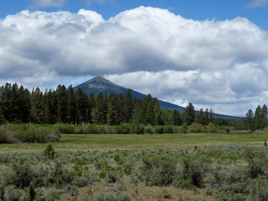 Black Butte [Indian Ford Meadow Preserve, Deschutes County, Oregon]