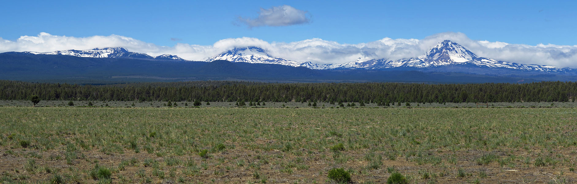 Three Sisters panorama [Highway 126, Deschutes County, Oregon]