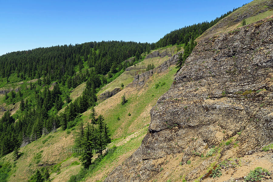 cliffs below Grassy Knoll [below Grassy Knoll, Gifford Pinchot National Forest, Skamania County, Washington]