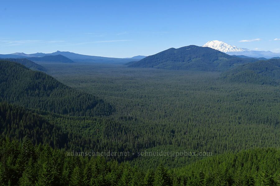 Mount Adams & Big Lava Bed [Grassy Knoll Trail, Gifford Pinchot National Forest, Skamania County, Washington]
