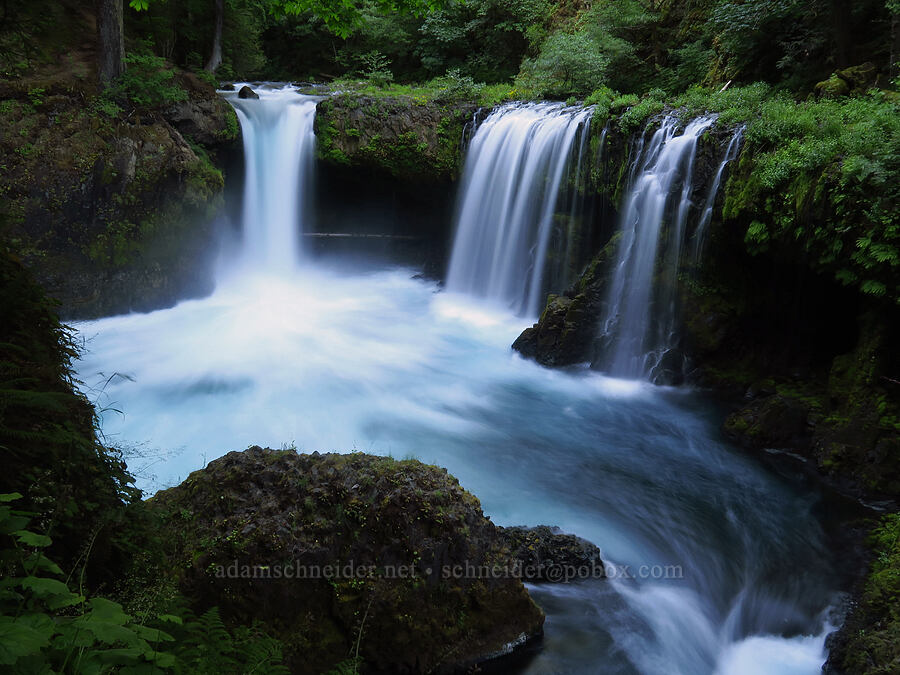 Spirit Falls [Spirit Falls Trail, Skamania County, Washington]
