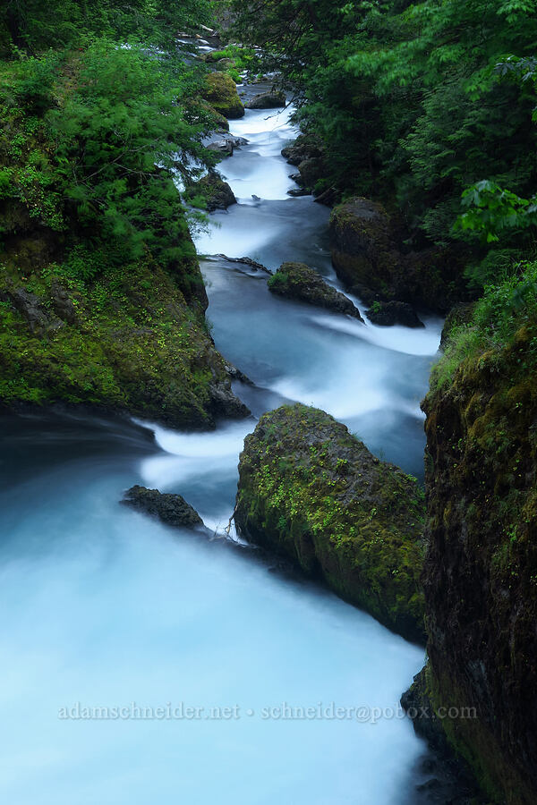 gorge below Spirit Falls [Spirit Falls Trail, Skamania County, Washington]