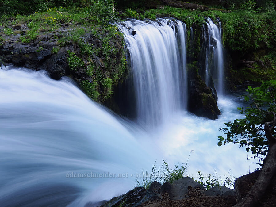 Spirit Falls [Spirit Falls Trail, Skamania County, Washington]