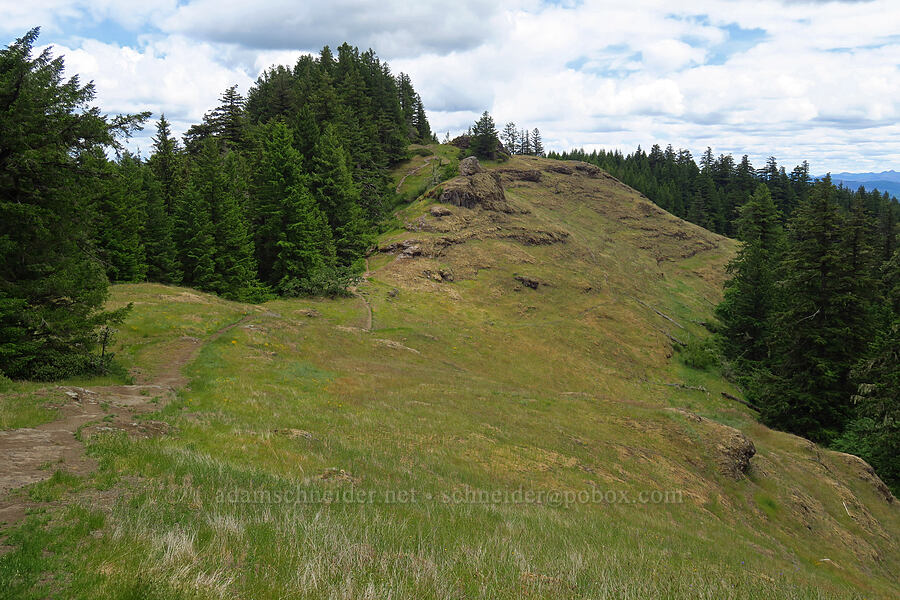Horse Rock Ridge [Horse Rock Ridge, Linn County, Oregon]