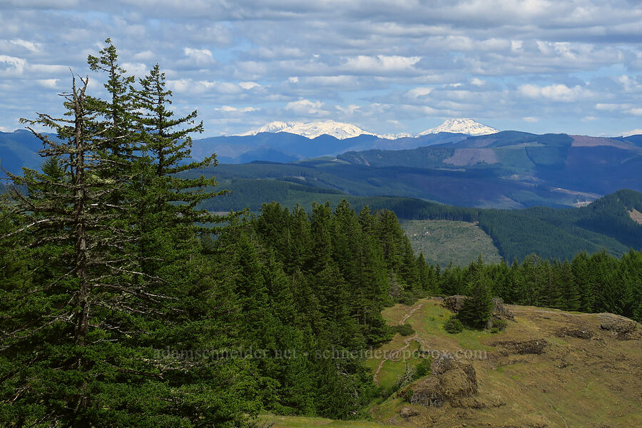 Three Sisters [Horse Rock Ridge, Linn County, Oregon]
