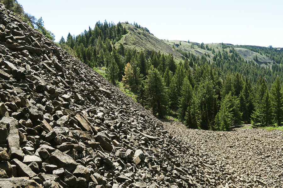 steep talus field [North Point, Lookout Mountain, Ochoco National Forest, Crook County, Oregon]