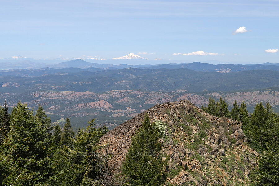 North Point & Mt. Jefferson [North Point, Lookout Mountain, Ochoco National Forest, Crook County, Oregon]