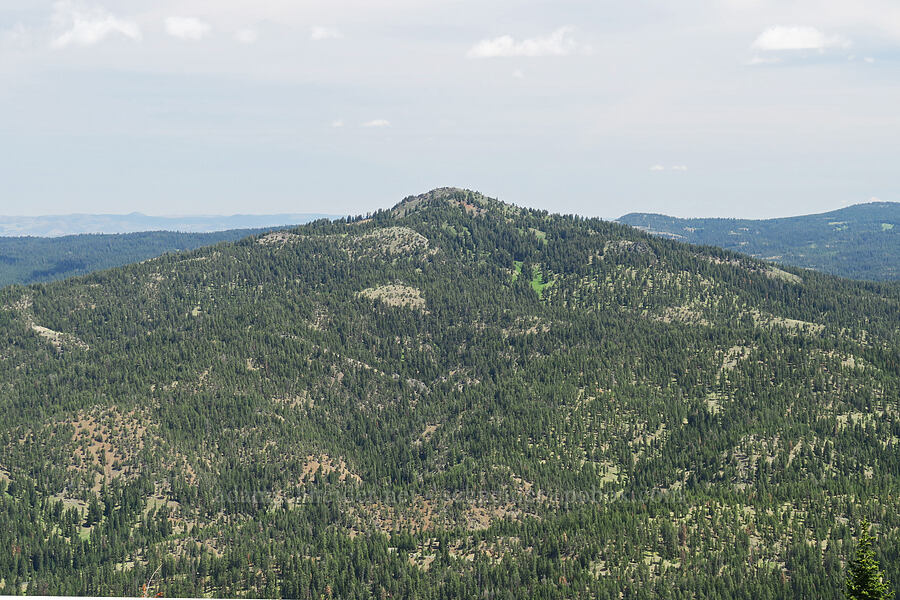 Round Mountain [North Point, Lookout Mountain, Ochoco National Forest, Crook County, Oregon]
