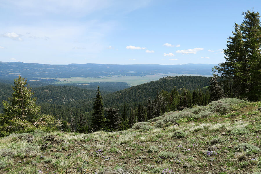 Big Summit Prairie [Lookout Mountain Trail, Ochoco National Forest, Crook County, Oregon]
