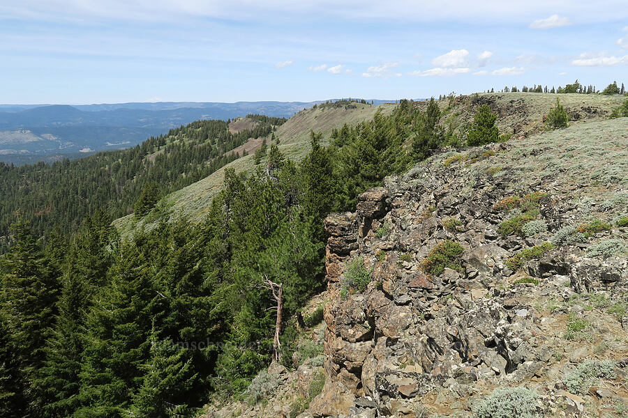 edge of Lookout Mountain [Lookout Mountain, Ochoco National Forest, Crook County, Oregon]