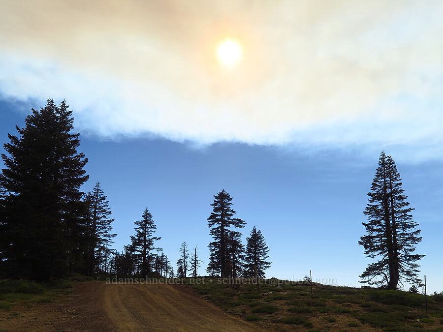 smoke from the Lava Fire [Forest Road 20, Klamath National Forest, Jackson County, Oregon]