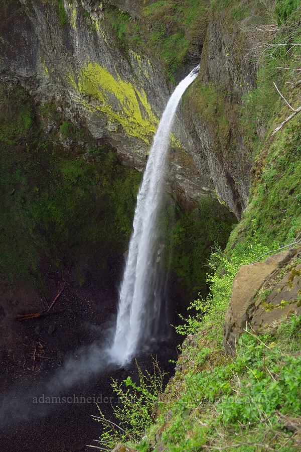 Elowah Falls [Upper McCord Creek Falls Trail, John B. Yeon State Park, Multnomah County, Oregon]