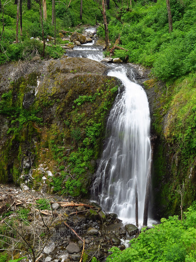 Upper McCord Creek Falls [Upper McCord Creek Falls Trail, Mt. Hood National Forest, Multnomah County, Oregon]