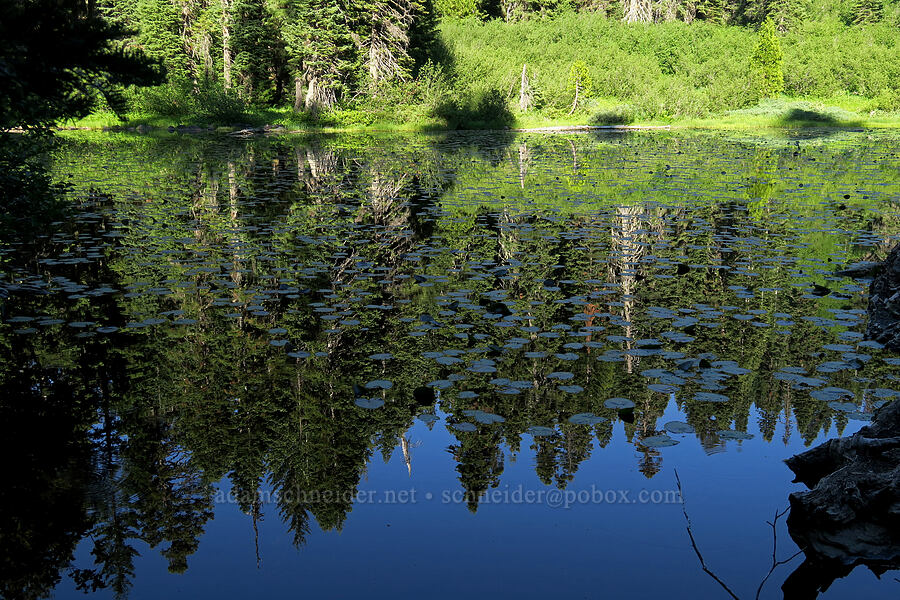Lower Bigelow Lake [Bigelow Lakes, Oregon Caves National Preserve, Josephine County, Oregon]