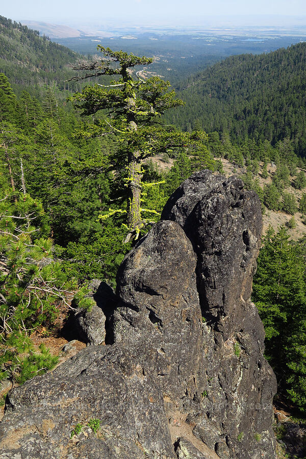 rock pinnacles & a view to the east [Little Badger Trail, Badger Creek Wilderness, Wasco County, Oregon]