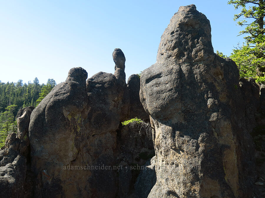 rock pinnacles [Little Badger Trail, Badger Creek Wilderness, Wasco County, Oregon]