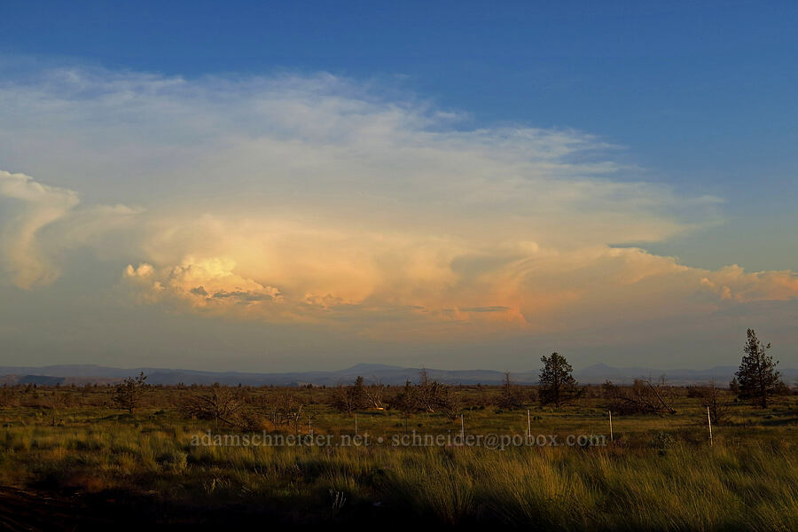 thunderclouds [U.S. Highway 197, Wasco County, Oregon]
