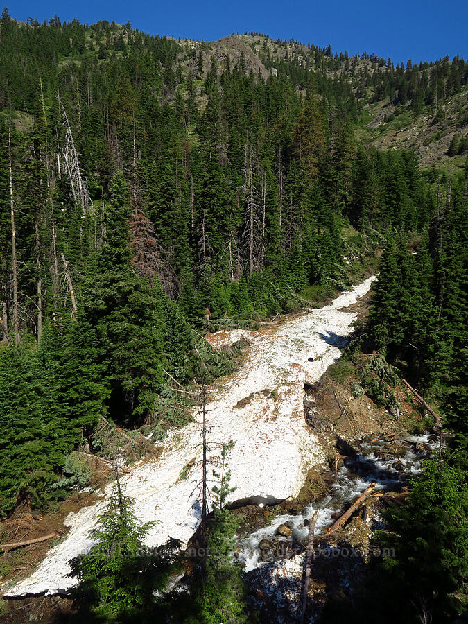 avalanche [Stafford Creek Trail, Okanogan-Wenatchee National Forest, Kittitas County, Washington]