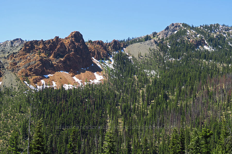 ridge southeast of Earl Peak [Stafford Creek Trail, Okanogan-Wenatchee National Forest, Kittitas County, Washington]