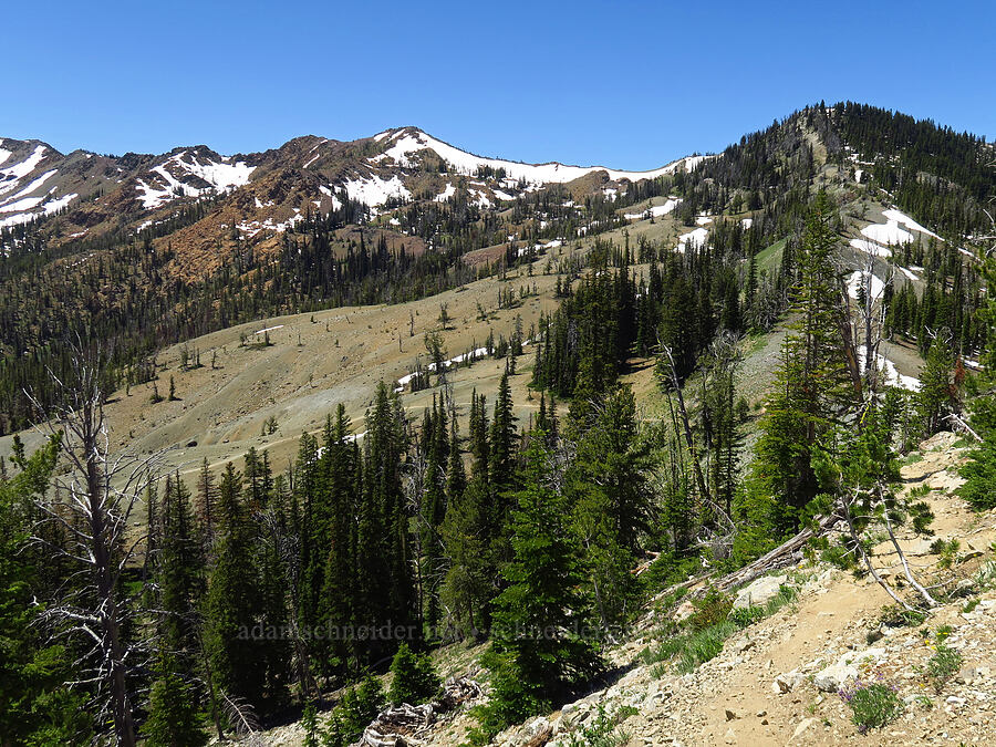 ridge to Wrong Turn Peak [Navaho Peak Trail, Okanogan-Wenatchee National Forest, Kittitas County, Washington]