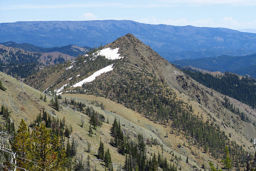 Freedom Peak [Navaho Peak Trail, Okanogan-Wenatchee National Forest, Kittitas County, Washington]