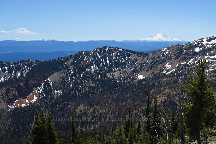 Earl Peak's southeast ridge & Mount Rainier [Navaho Peak Trail, Okanogan-Wenatchee National Forest, Kittitas County, Washington]