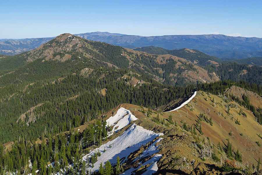 ridge to Miller Peak [Freedom Peak, Okanogan-Wenatchee National Forest, Kittitas County, Washington]
