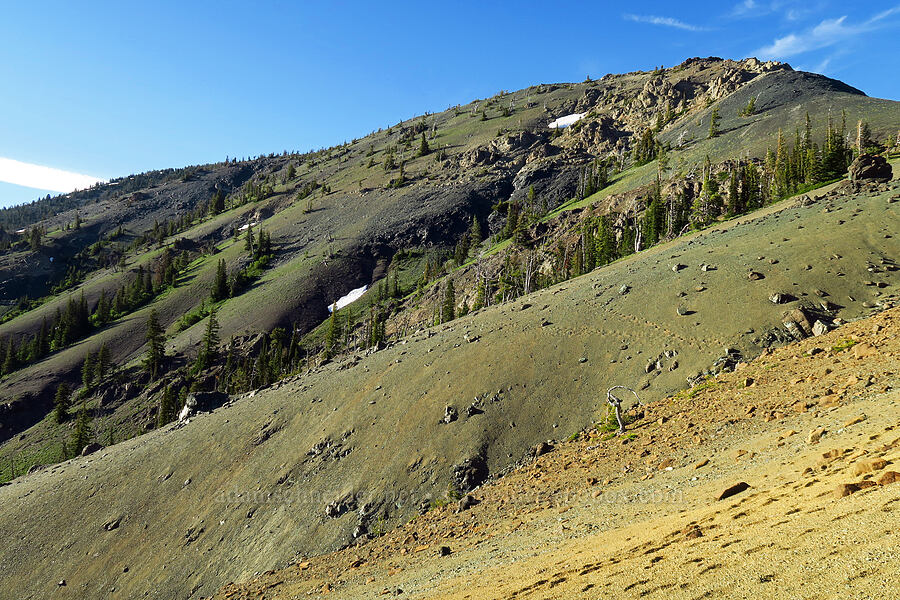 ridge southeast of Navaho Peak [below Freedom Peak, Okanogan-Wenatchee National Forest, Kittitas County, Washington]