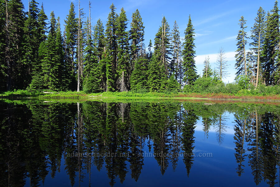 pond west of Teanaway Ridge [Jack Creek Road, Okanogan-Wenatchee National Forest, Kittitas County, Washington]